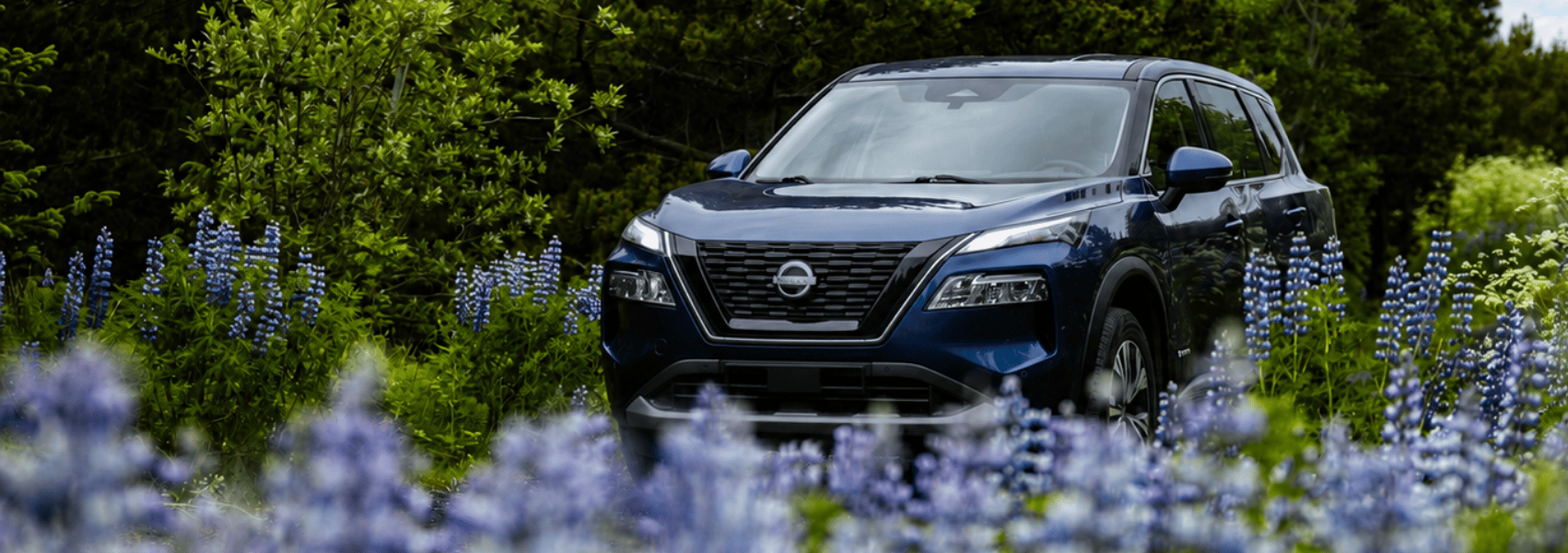 Save up to 15% on Thrifty Iceland car rental